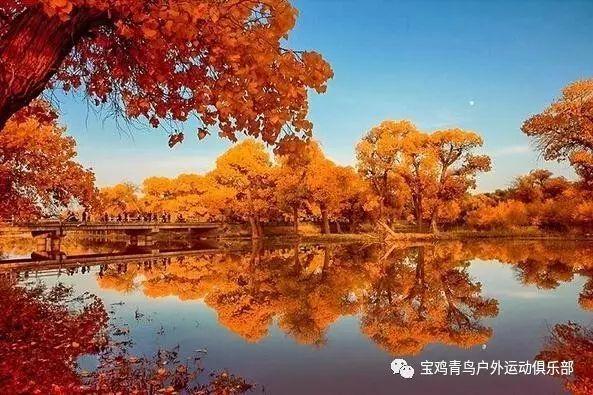 兴业股份上涨5.04%,报11.47元/股